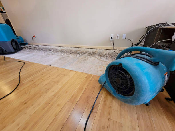 Professional Sewage Cleanup technician working in Quartzsite, AZ